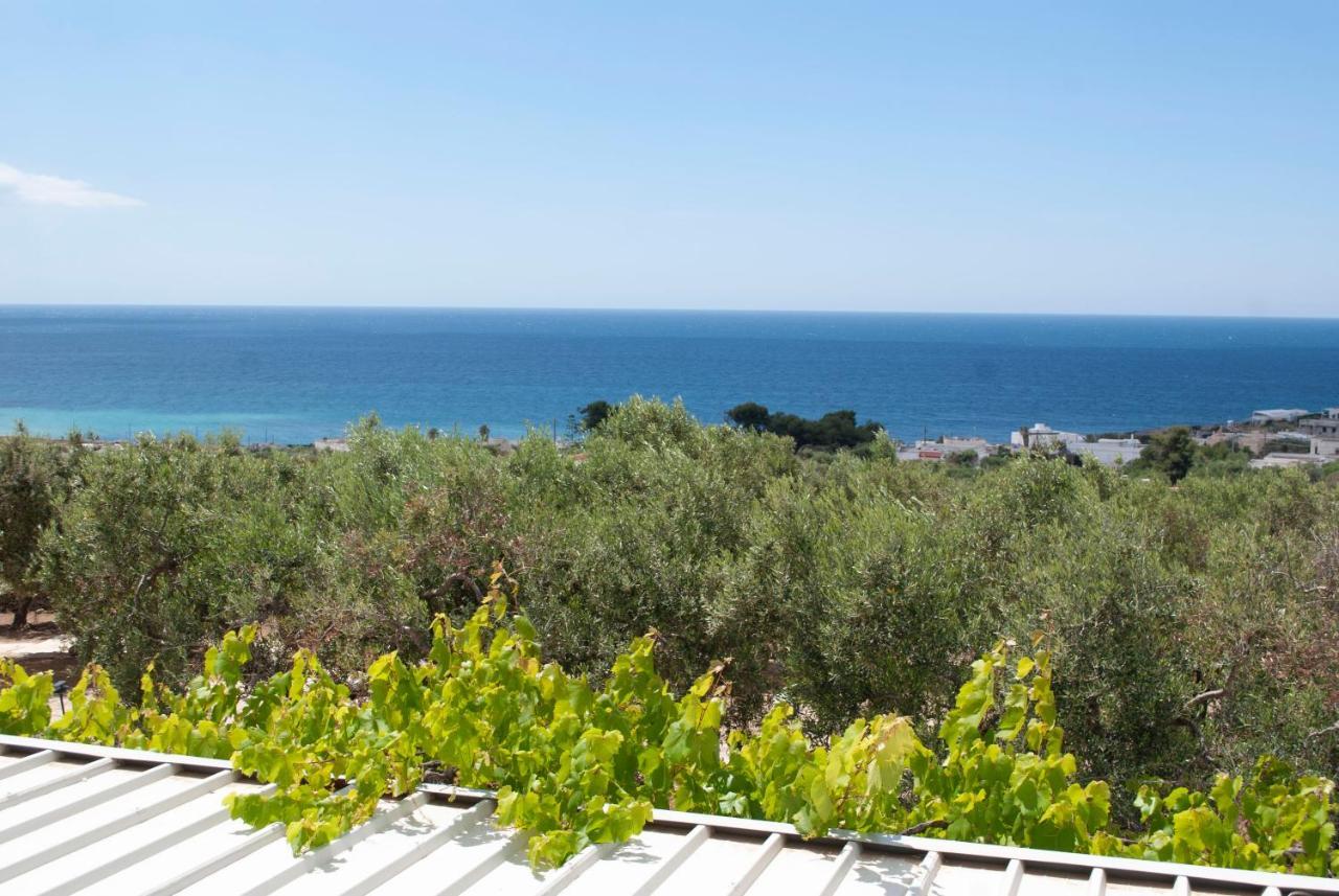 La Mennula Garden Daire Salignano  Dış mekan fotoğraf
