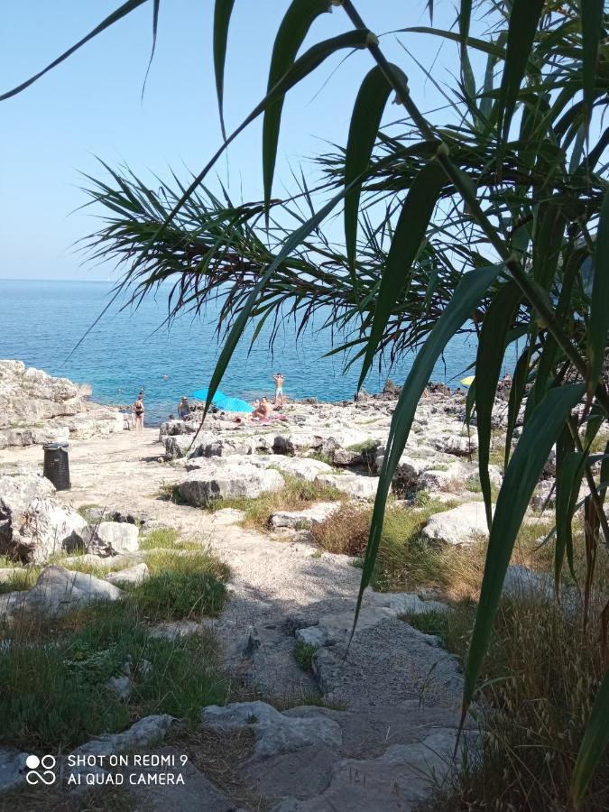 La Mennula Garden Daire Salignano  Dış mekan fotoğraf