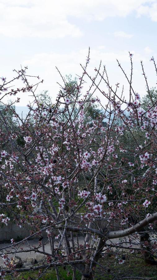 La Mennula Garden Daire Salignano  Dış mekan fotoğraf